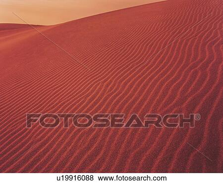 Sand dune, Shizuoka Prefecture, Honshu, Japan View Large Photo Image Stock Photo - Sand dune, Shizuoka Prefecture, Honshu, Japan. Fotosearch