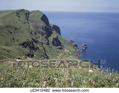 Stock Image - Sea from field of flowers, Rebun island, Hokkaido prefecture, Japan. Fotosearch