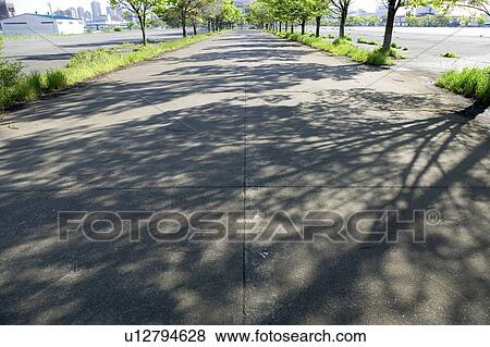 Stock Photo - Shadow of trees on street, Tokyo prefecture, Japan. Fotosearch