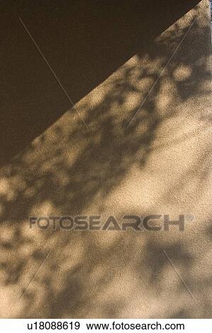 Shadow on wall View Large Photo Image Stock Photo - Shadow on wall. Fotosearch