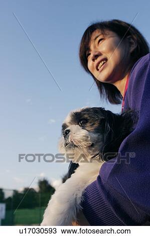 Shih Tzu being carried by a woman View Large Photo Image Stock Image - Shih Tzu being carried by a woman. Fotosearch