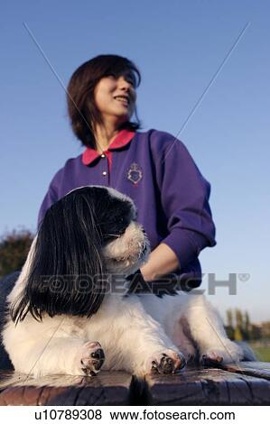 Shih Tzu relaxing with woman View Large Photo Image Stock Photo - Shih Tzu relaxing with woman. Fotosearch