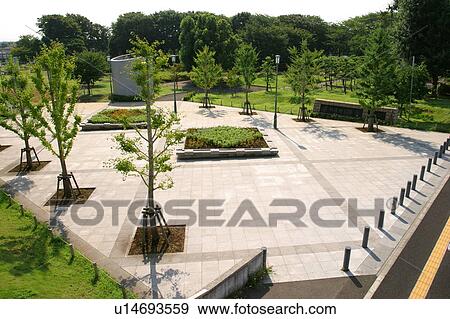 Shonandai Park, Fujisawa city, Kanagawa prefecture, Japan View Large Photo Image Stock Photo - Shonandai Park, Fujisawa city, Kanagawa prefecture, Japan. Fotosearch