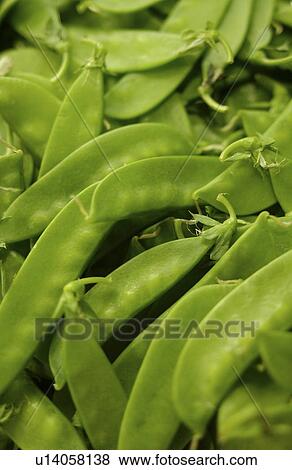 Stock Photo - Snow peas. Fotosearch