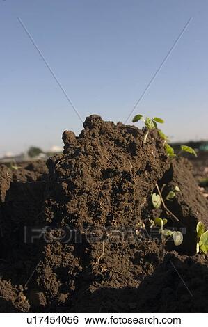 Soil View Large Photo Image Stock Photograph - Soil. Fotosearch