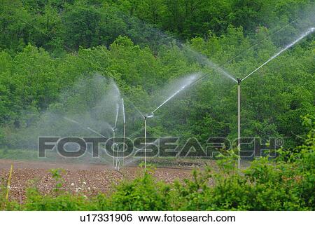 Sprinkler Spray View Large Photo Image Stock Photograph - Sprinkler Spray. Fotosearch