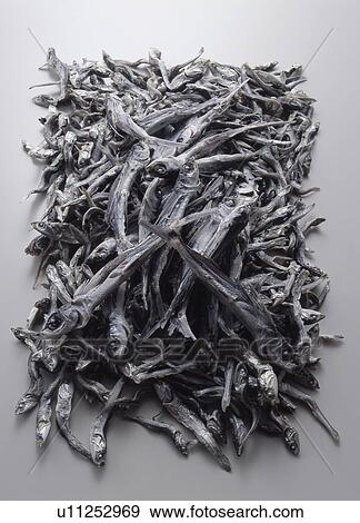 Stack of dried sardines and flying fish, white background View Large Photo Image Stock Photo - Stack of dried sardines and flying fish, white background. Fotosearch