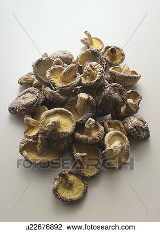 Stack of mushrooms, white background View Large Photo Image Stock Image - Stack of mushrooms, white background. Fotosearch