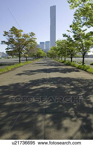 Street with row of trees, Tokyo prefecture, Japan View Large Photo Image Stock Photography - Street with row of trees, Tokyo prefecture, Japan. Fotosearch