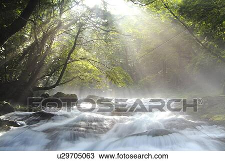 Sunlight on the river, long exposure, Kumamoto prefecture, Japan View Large Photo Image Stock Image - Sunlight on the river, long exposure, Kumamoto prefecture, Japan. Fotosearch
