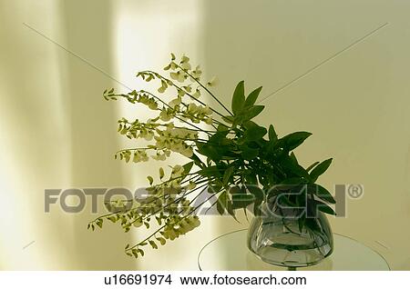 Sweet Peas in vase View Large Photo Image Picture - Sweet Peas in vase. Fotosearch