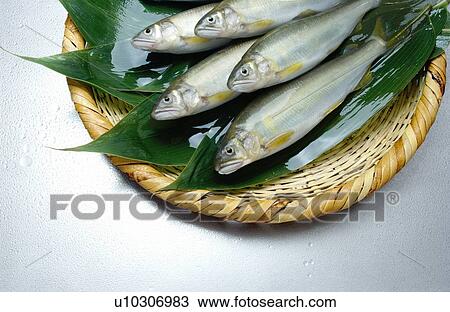 Sweetfishes on basket View Large Photo Image Stock Image - Sweetfishes on basket. Fotosearch
