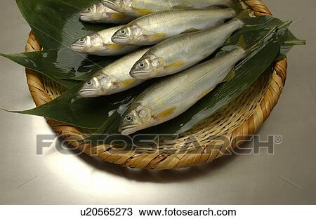 Sweetfishes on basket View Large Photo Image Stock Image - Sweetfishes on basket. Fotosearch