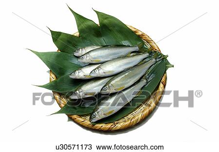 Sweetfishes on basket View Large Photo Image Stock Image - Sweetfishes on basket. Fotosearch