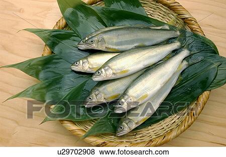 Sweetfishes on basket View Large Photo Image Stock Photo - Sweetfishes on basket. Fotosearch