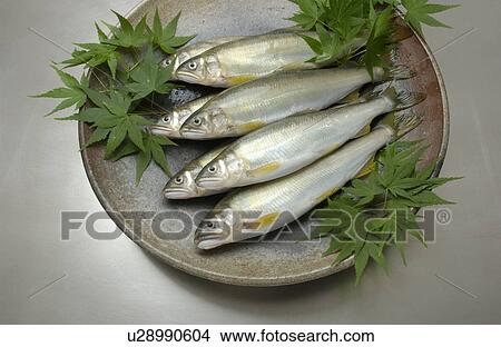 Sweetfishes on plate View Large Photo Image Picture - Sweetfishes on plate. Fotosearch