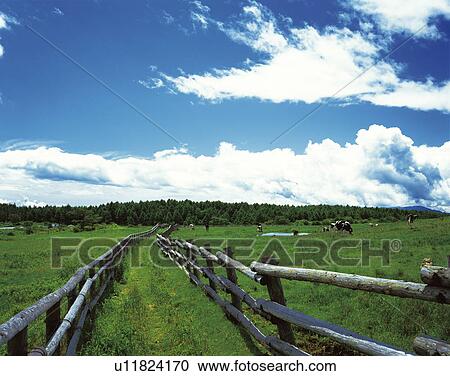 Stock Image - Takabocchi Highland, Nagano Prefecture, Japan. Fotosearch