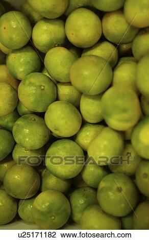 Tangerines View Large Photo Image Stock Image - Tangerines. Fotosearch