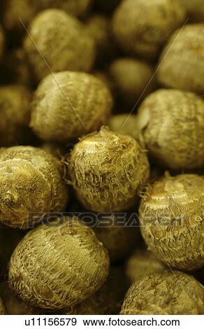 Stock Photo - Taros. Fotosearch