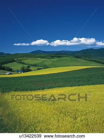 The view of fields View Large Photo Image Stock Photo - The view of fields. Fotosearch