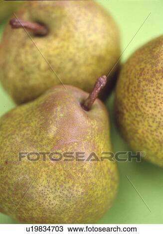 Stock Image - Three pears, green background. Fotosearch