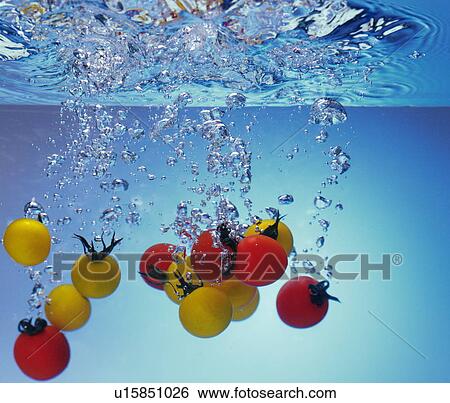Tomatoes dropped in water, white background View Large Photo Image Stock Photograph - Tomatoes dropped in water, white background. Fotosearch