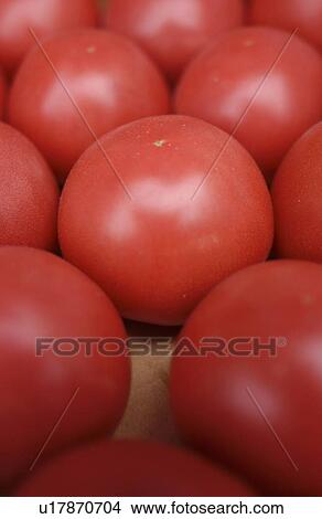 Tomatoes View Large Photo Image Picture - Tomatoes. Fotosearch