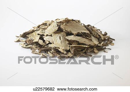 Traditional Chinese Medicine, Angelica Acutiloba View Large Photo Image Stock Image - Traditional Chinese Medicine, Angelica Acutiloba. Fotosearch