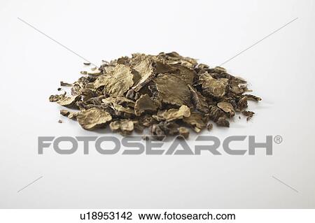 Stock Image - Traditional Chinese Medicine, Cnidium Officinale. Fotosearch