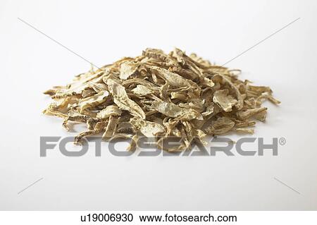 Traditional Chinese Medicine, Platycodon Grandiflorus View Large Photo Image Stock Image - Traditional Chinese Medicine, Platycodon Grandiflorus. Fotosearch