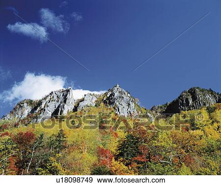 Trees in autumn color, Kamikawa town, Hokkaido prefecture, Japan View Large Photo Image Stock Photo - Trees in autumn color, Kamikawa town, Hokkaido prefecture, Japan. Fotosearch