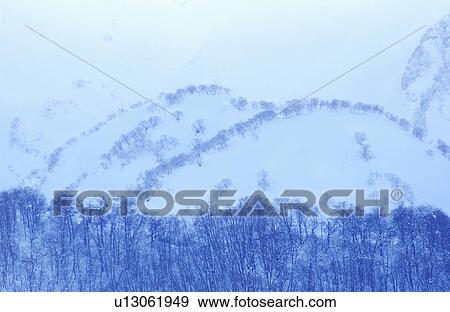 Stock Photo - Trees in mountain. Fotosearch