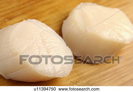 Two scallops, close up View Large Photo Image Stock Image - Two scallops, close up. Fotosearch