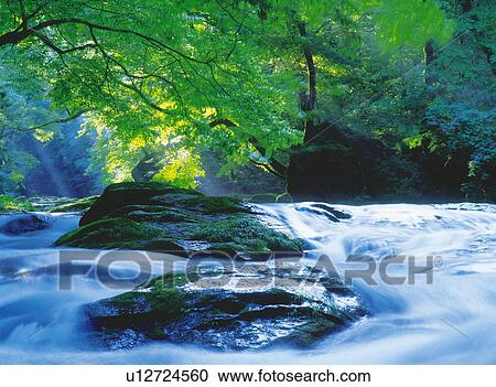 Stock Image - Valley. Fotosearch