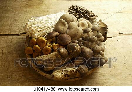 Stock Photo - Various Kinds of Mushroom. Fotosearch