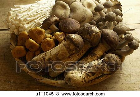 Various Kinds of Mushroom View Large Photo Image Stock Photo - Various Kinds of Mushroom. Fotosearch