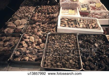 Various Kinds of Shellfish in Tray at Market View Large Photo Image Stock Image - Various Kinds of Shellfish in Tray at Market. Fotosearch