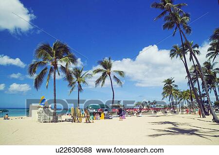 Stock Photo - Waikiki beach, Hawaii, USA. Fotosearch