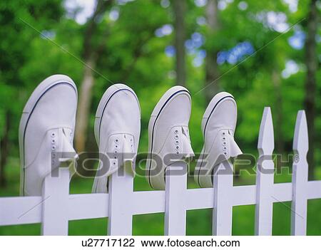 Stock Image - Washed sneakers being dried . Fotosearch