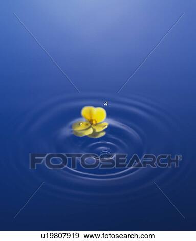 Stock Photo - Water droplet. Fotosearch