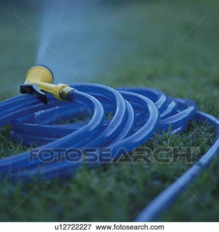 Water spraying from garden hose, close up, Saipan View Large Photo Image Stock Photo - Water spraying from garden hose, close up, Saipan. Fotosearch