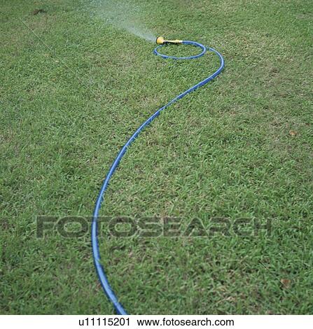 Water spraying from garden hose, Saipan View Large Photo Image Stock Image - Water spraying from garden hose, Saipan. Fotosearch
