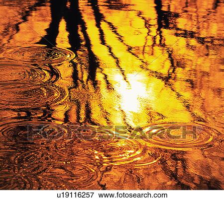Stock Photo - Water surface, close up. Fotosearch