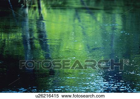 Water surface, close up View Large Photo Image Stock Photography - Water surface, close up. Fotosearch