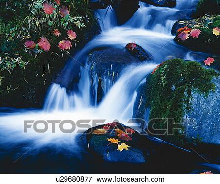 Waterfall, long exposure, Yachiho Plateau, Sakuho town, Nagano prefecture, Japan View Large Photo Image Stock Photo - Waterfall, long exposure, Yachiho Plateau, Sakuho town, Nagano prefecture, Japan. Fotosearch