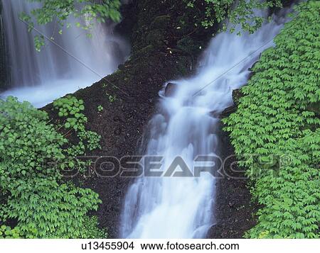 Picture - Waterfall. Fotosearch