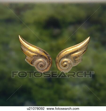 Wings of Angel View Large Photo Image Stock Image - Wings of Angel. Fotosearch