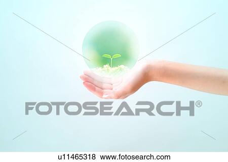 Woman holding ball on hand, image of seedling in the ball, computer graphic, blue background View Large Photo Image Stock Photo - Woman holding ball on hand, image of seedling in the ball, computer graphic, blue background. Fotosearch