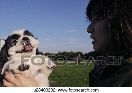 Stock Image - Woman holding Shih Tzu. Fotosearch