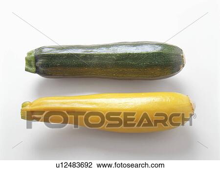 Yellow and Green Zucchini View Large Photo Image Stock Image - Yellow and Green Zucchini. Fotosearch
